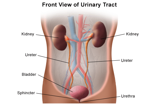 Urology at Ayush Hospital